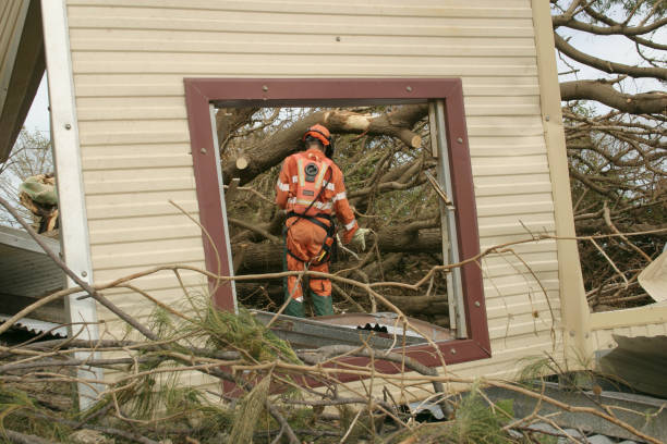 University, FL Tree Removal Company